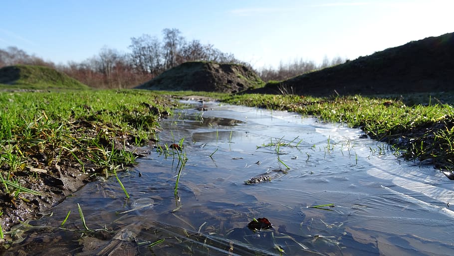 ice, meadow, nature, winter, cold, frozen, water, details, plant HD wallpaper