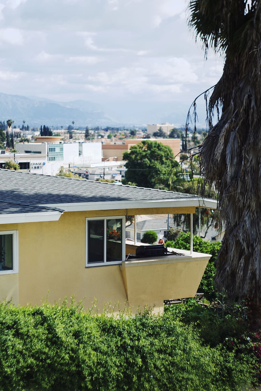 home decor, tree, plant, roof, urban, palm tree, city, window HD wallpaper