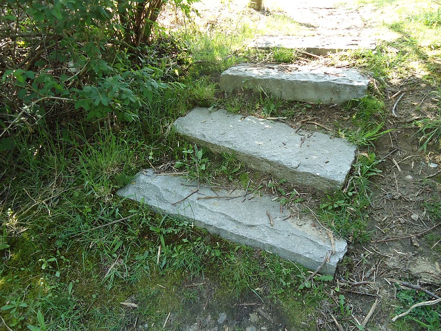 stone, steps, stairs, walk, grass, old, plant, high angle view HD wallpaper
