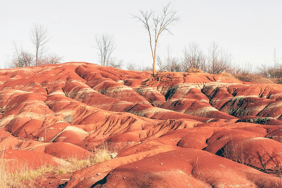 dessert, cold, sand, tree, skies, sky, rock, red, death, hike HD wallpaper