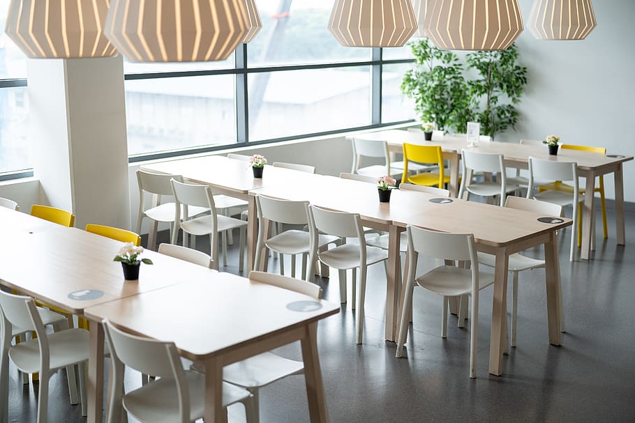 ikea, table, dining, chair, lamp, plant, natural, lifestyle HD wallpaper
