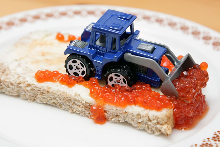 Blue and Gray Excavator on Top of Bread, blur, caviar, close-up HD wallpaper