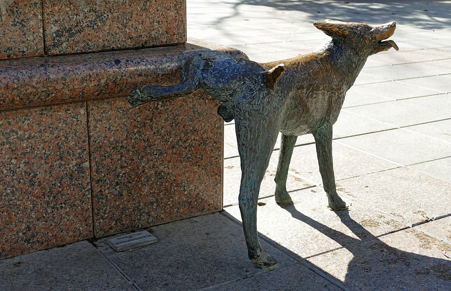 statue, image, dog, pee, leg, brass, art, decoration, funny HD wallpaper
