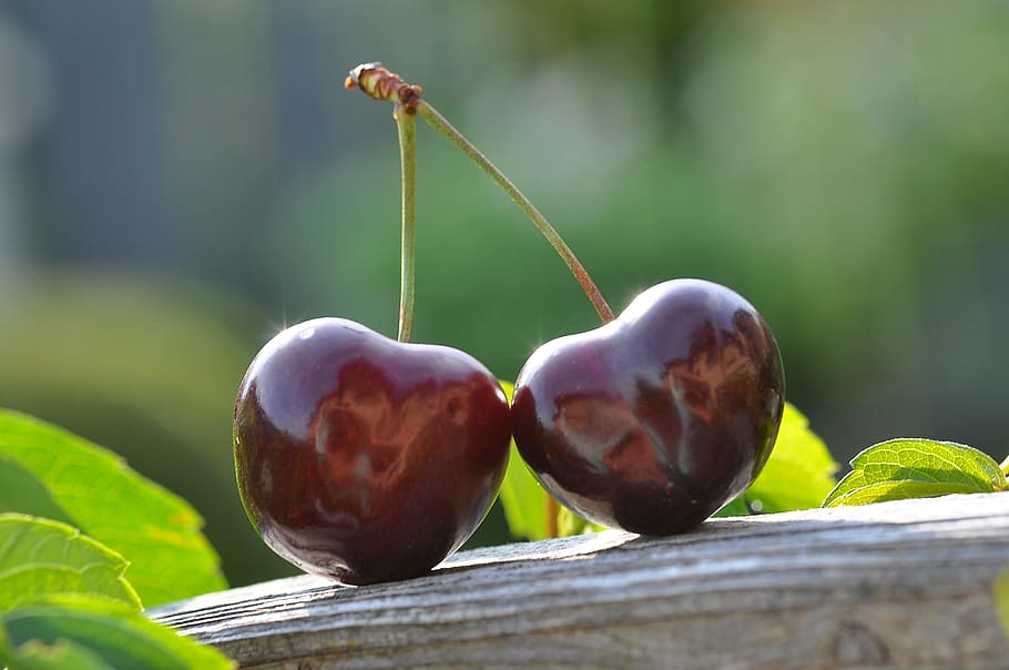 cherry, cherries, fresh, fruit, food, sweet, nature, ripe, healthy eating HD wallpaper