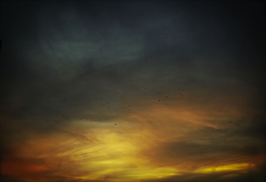 sky, sunset, clouds, dark, color, color burst, birds, cloud - sky HD wallpaper