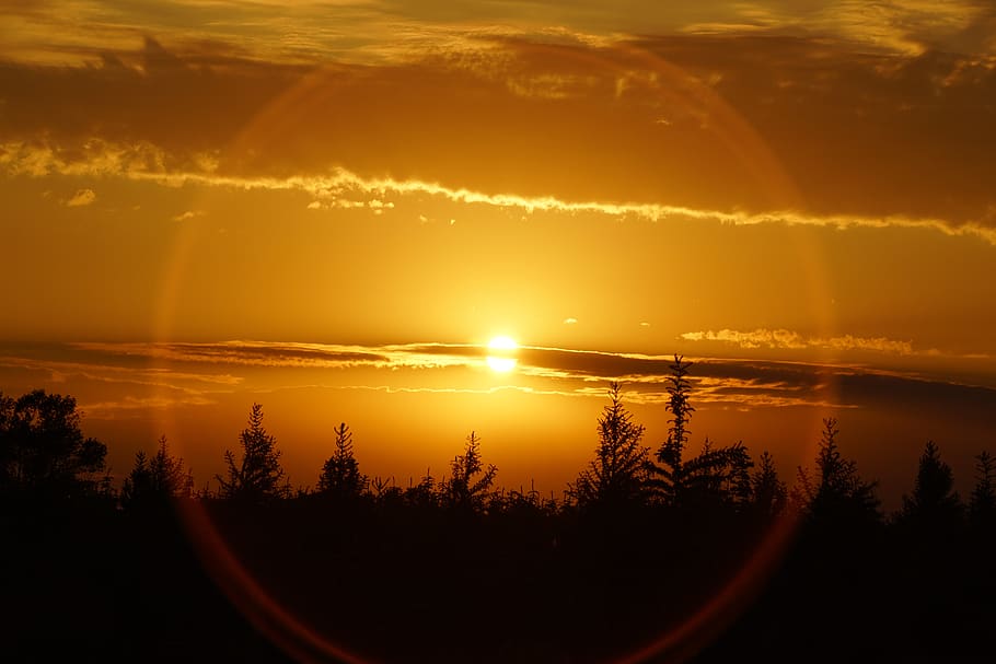 sunset, odense, denmark, sunny, natural, sol, sky, cloud, trees HD wallpaper