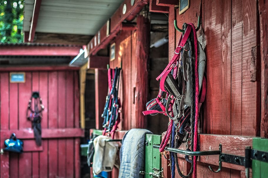 stable, box, red, green, horseback riding, hanging, clothing HD wallpaper