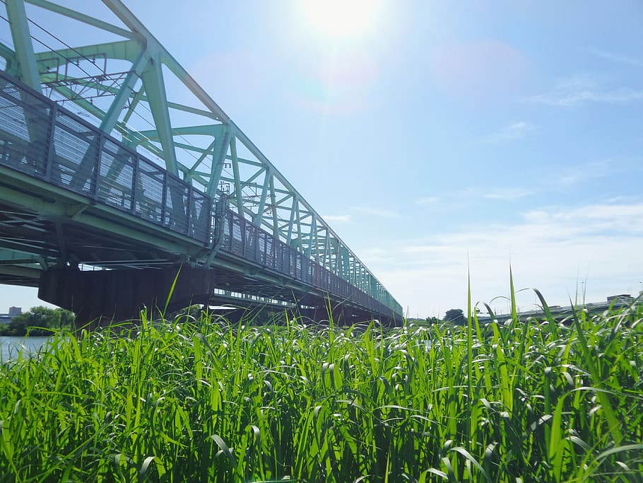 bridge, river, green, nature, blue, sky, tokyo, japan, 橋, HD wallpaper