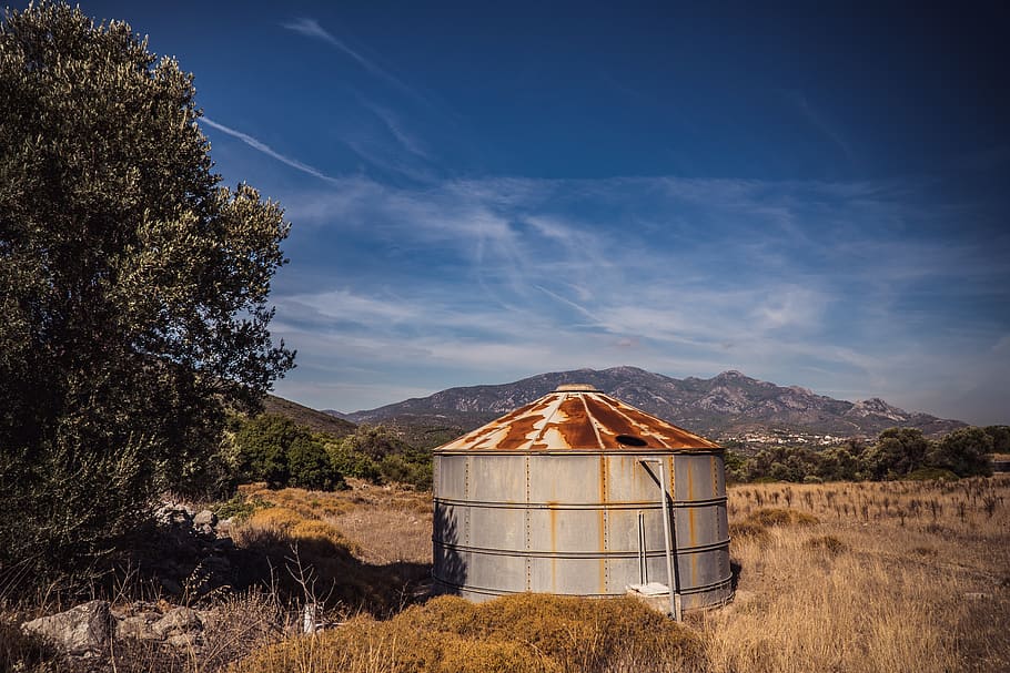 tree, silo, field, nature, sky, plant, architecture, land, built structure HD wallpaper