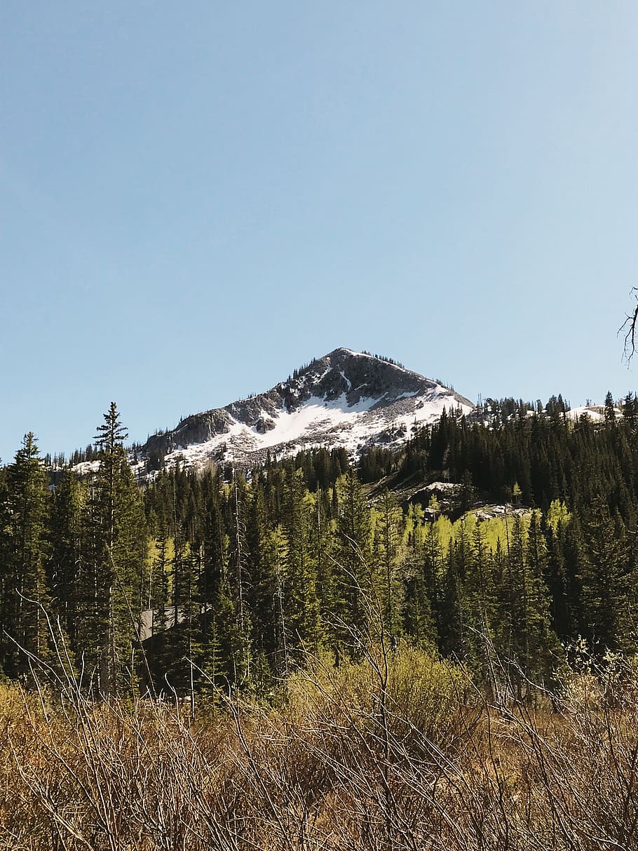 snow covered mountain, plant, sky, tree, beauty in nature, tranquility HD wallpaper