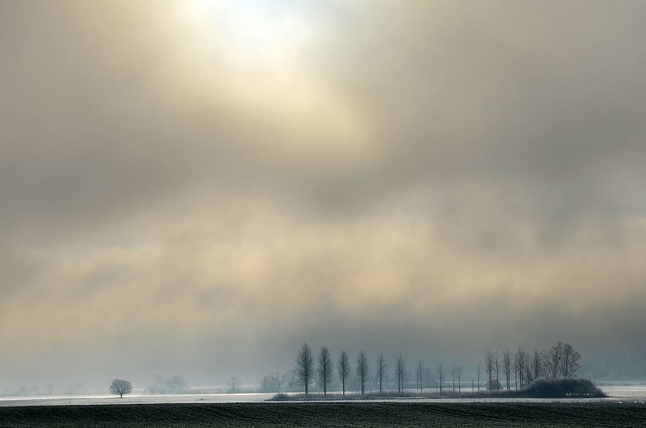 gel, flood, fields, winter, flooded, landscape, light, fog HD wallpaper