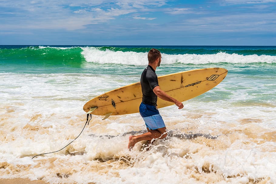 surfer, surfing, sea, wave, ocean, summer, recreation, surfboard, HD wallpaper