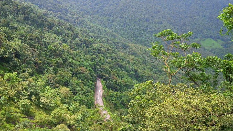 wayanad, green, kerala, landscape, outdoors, hills, sky, travel, HD wallpaper