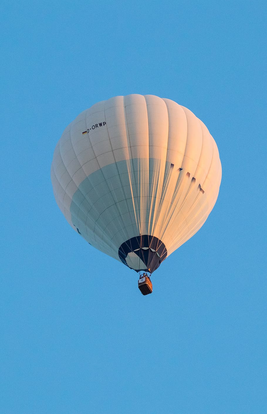 hot air balloon, montgolfiade, mass start, captive balloon, HD wallpaper