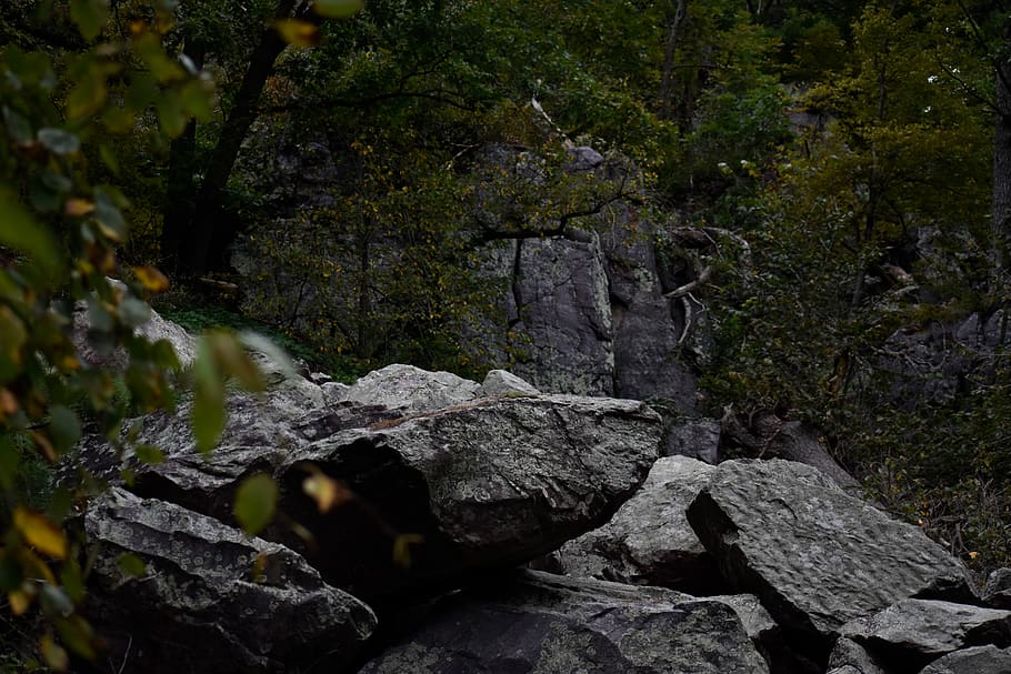 green trees, moss, rock formation, devils lake, nature, rock - object HD wallpaper