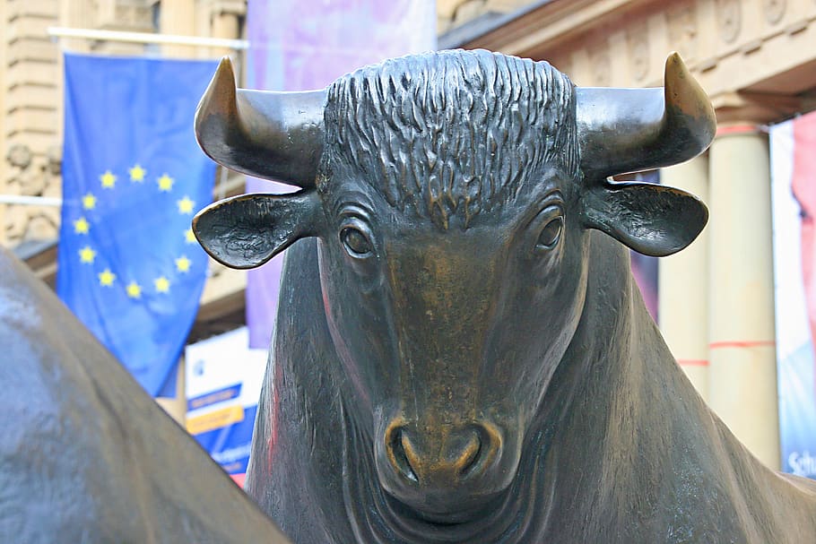 Stock Market Bull Stock Photos and Images - 123RF