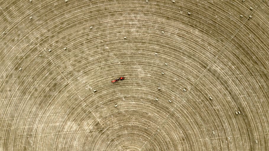 red ant on brown board, outdoors, water, nature, landscape, deer lodge HD wallpaper