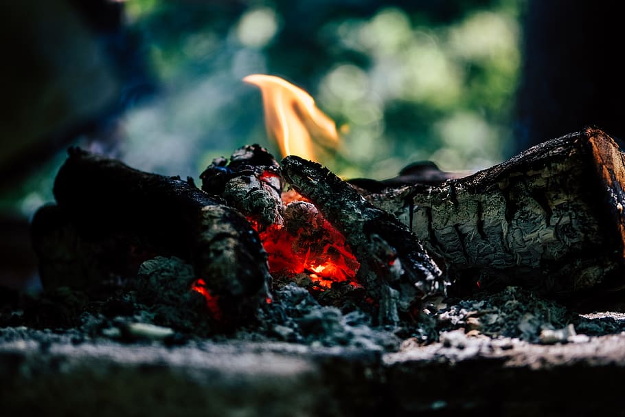 indonesia, bandung, red, fire, camping, wood fire, animal themes, HD wallpaper