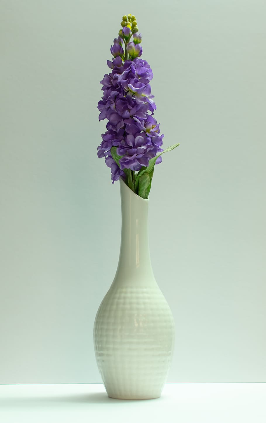 flowering plant, vase, vulnerability, fragility, beauty in nature HD wallpaper