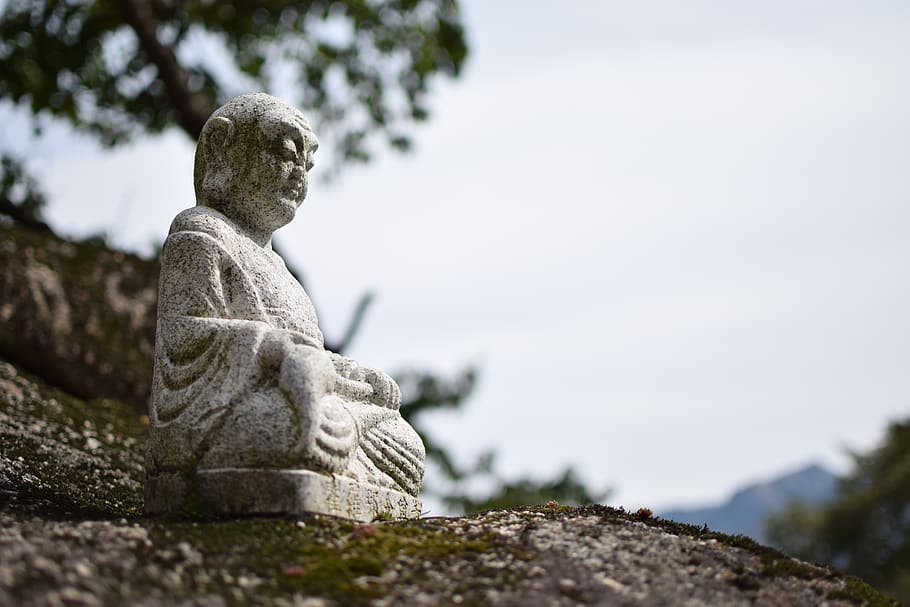 buddha, trees, forest, sokcho, statue, sculpture, representation HD wallpaper