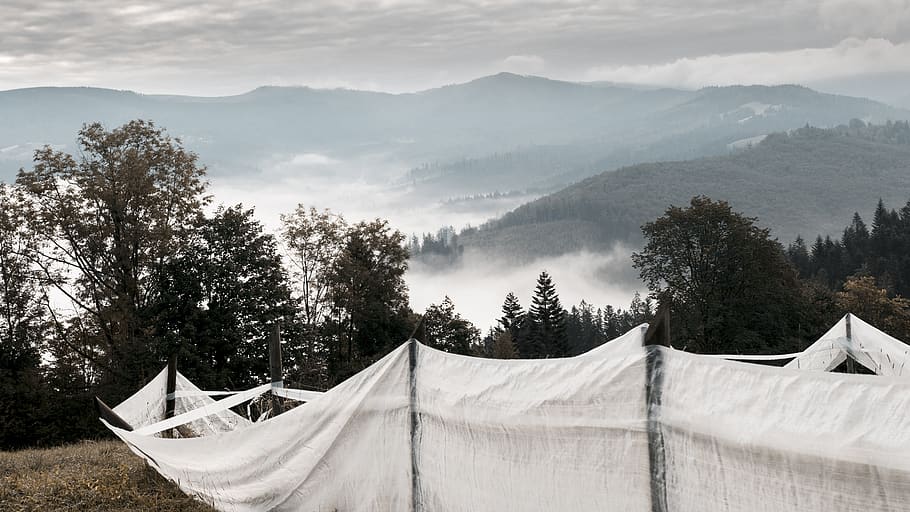 landscape, mountains, forest, horizons, village, fog, beautiful HD wallpaper