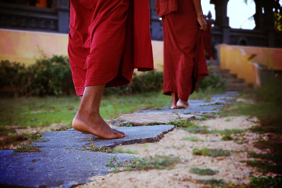 Two Human Wearing Monk Dress Walking on the Pathway, back view