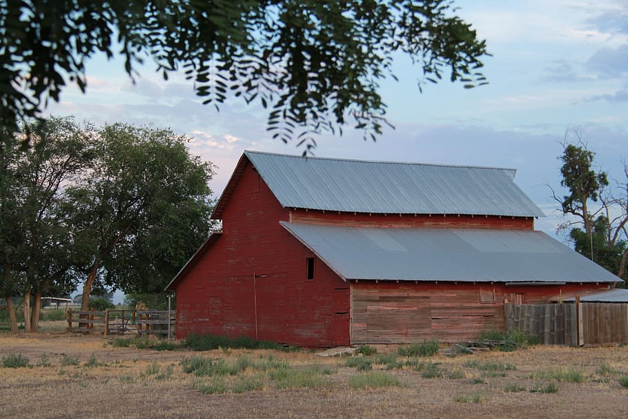 red, barn, trees, summer, rural, farm, nature, country, architecture HD wallpaper