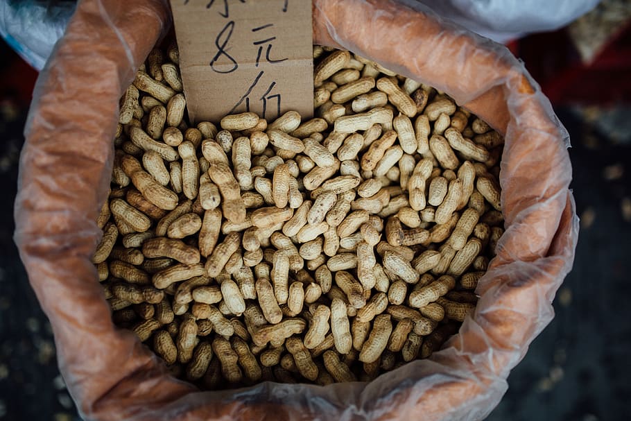 beige peanuts in sack, food, food and drink, freshness, hand HD wallpaper