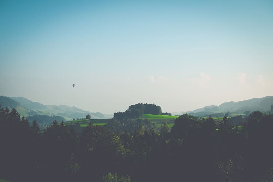 brown castle surrounded by forest, nature, outdoors, countryside HD wallpaper