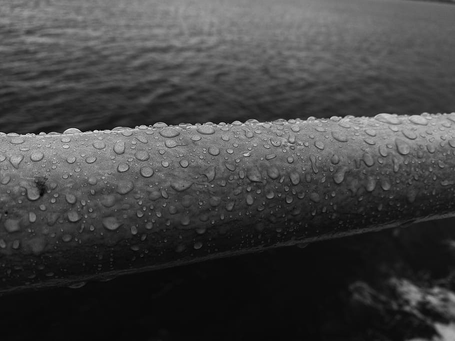 croatia, water, close-up, drop, no people, wet, nature, day HD wallpaper