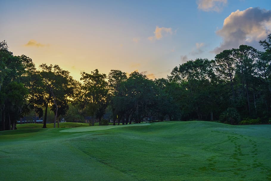 Photo of Golf Course, daylight, environment, grass, landscape HD wallpaper