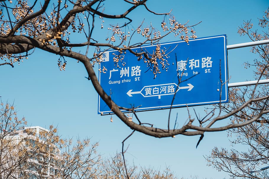 blue and white signage beside trees during daytime, symbol, road sign, HD wallpaper