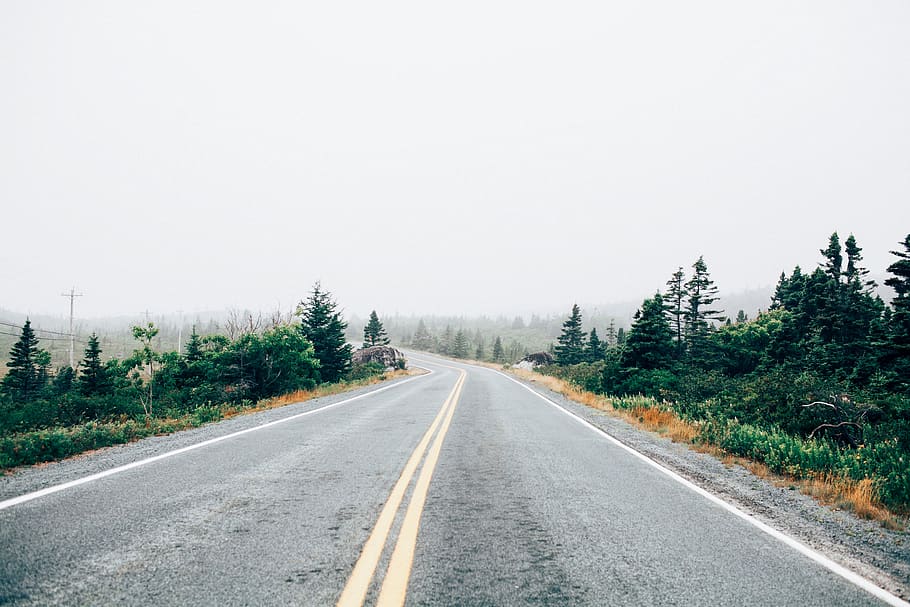 road, trees, plants, lane, path, fog, clouds, sky, branches HD wallpaper