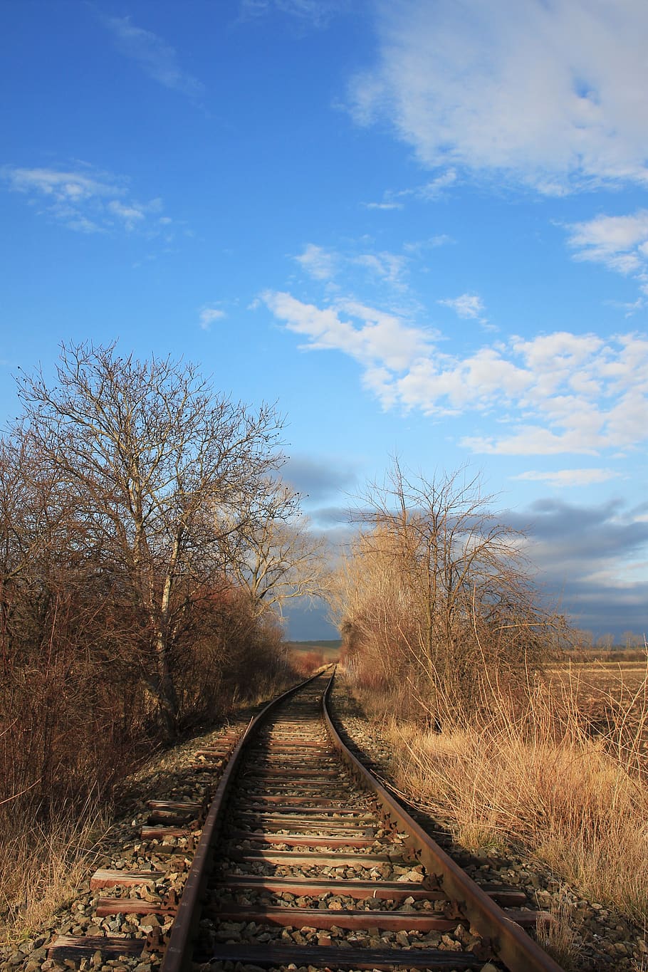 train, railway, sunny, sky, track, direction, the way forward HD wallpaper