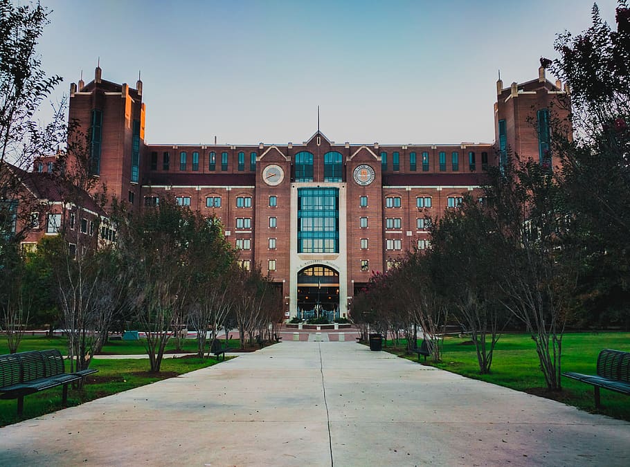 florida state university, united states, tallahassee, building, HD wallpaper
