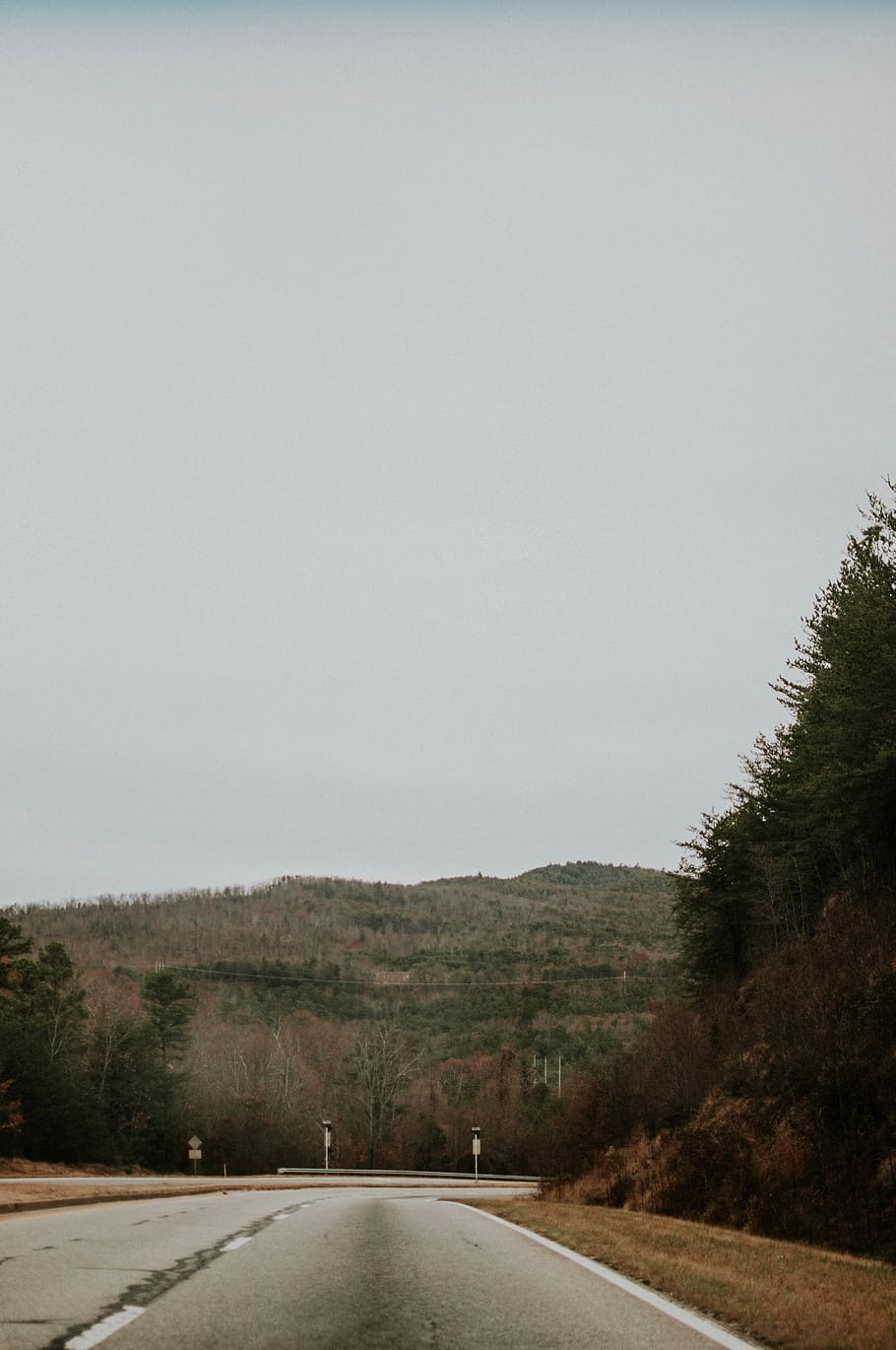 tree, road, travel, interstate, plant, sky, direction, transportation HD wallpaper