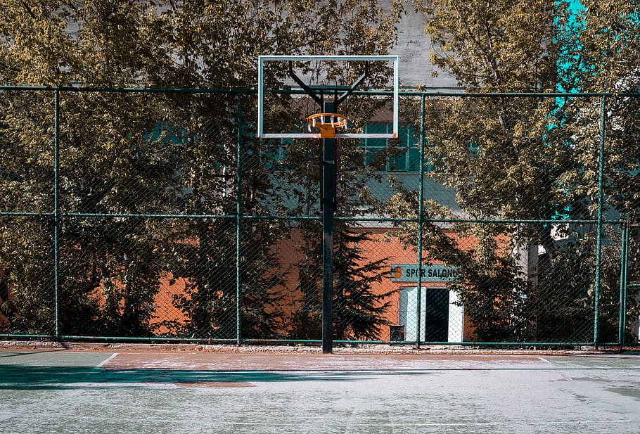 black basketball system, plant, tree, built structure, no people HD wallpaper