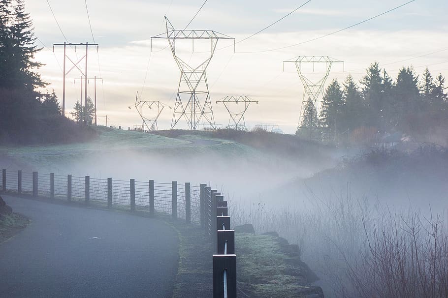 gray concrete road during daytime, fog, electricity pylon, plant HD wallpaper