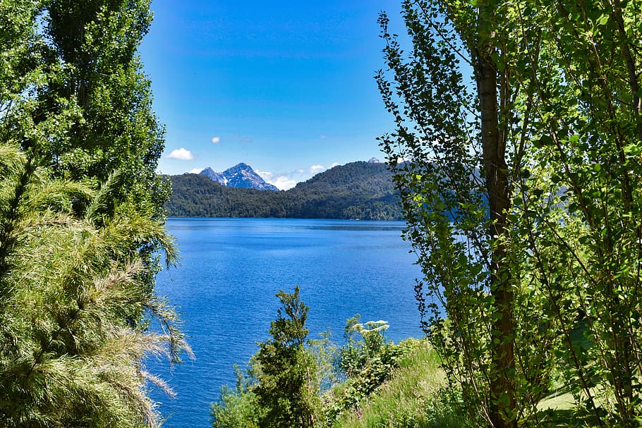 argentina, lago espejo, trees, water, mountain, sky, clouds, HD wallpaper
