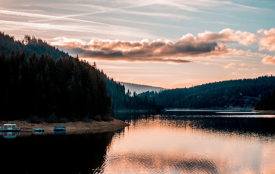lake near trees, plant, fir, abies, nature, water, outdoors, transportation HD wallpaper