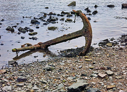 animal, bird, hook, rubble, anchor, flagstone, pebble, wood HD wallpaper