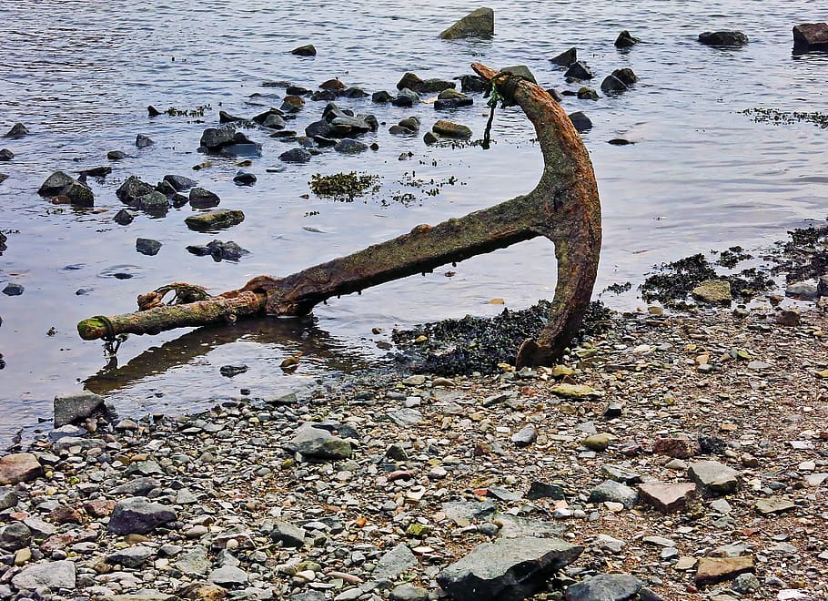 animal, bird, hook, rubble, anchor, flagstone, pebble, wood HD wallpaper