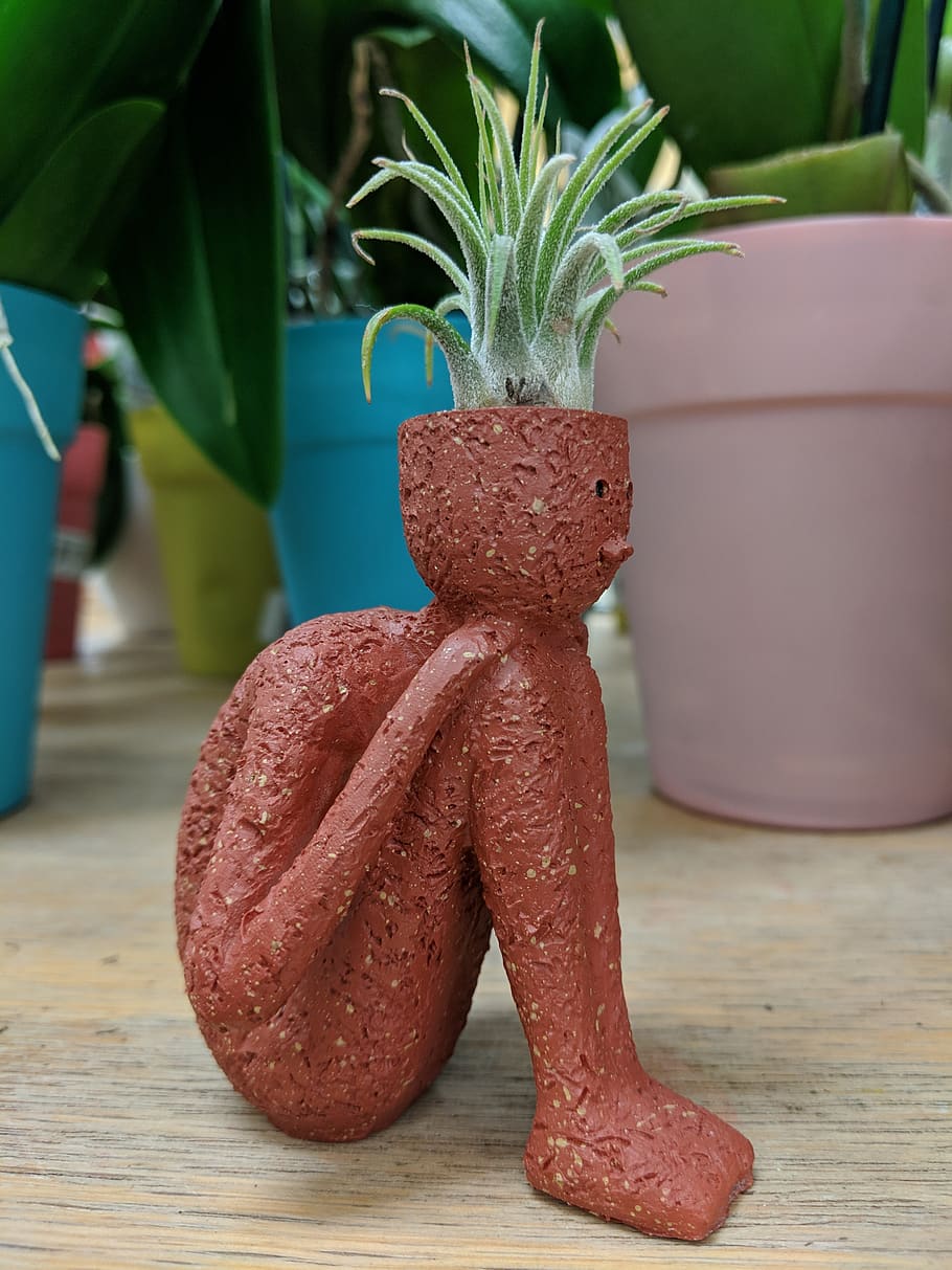 plant, pot, statue, clay, pottery, gardening, decor, homedecor HD wallpaper