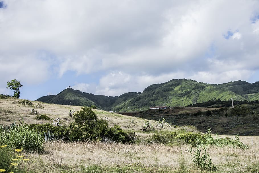 Photography of Green Grasses on Mountain Top, adventure, clouds HD wallpaper