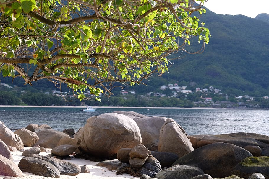 Mountain beach 4 отзывы. Бо Валлон Сейшелы. Бо Валлон. Beau Vallon.