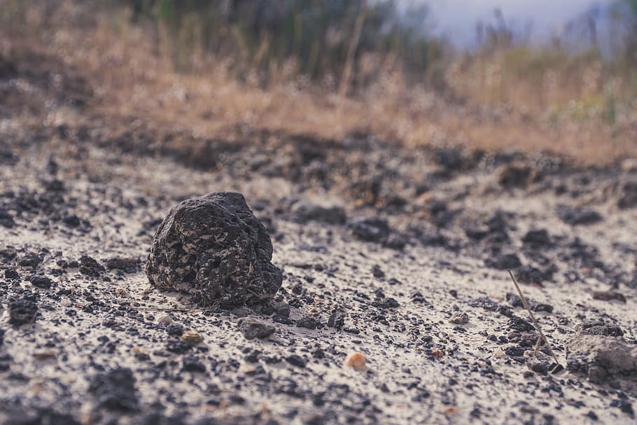 Close Up Photography of Small Black Stone, close-up, daylight HD wallpaper
