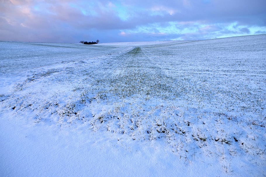 wintry, field, winter, snow, nature, cold, sky, snowy, cloud - sky HD wallpaper
