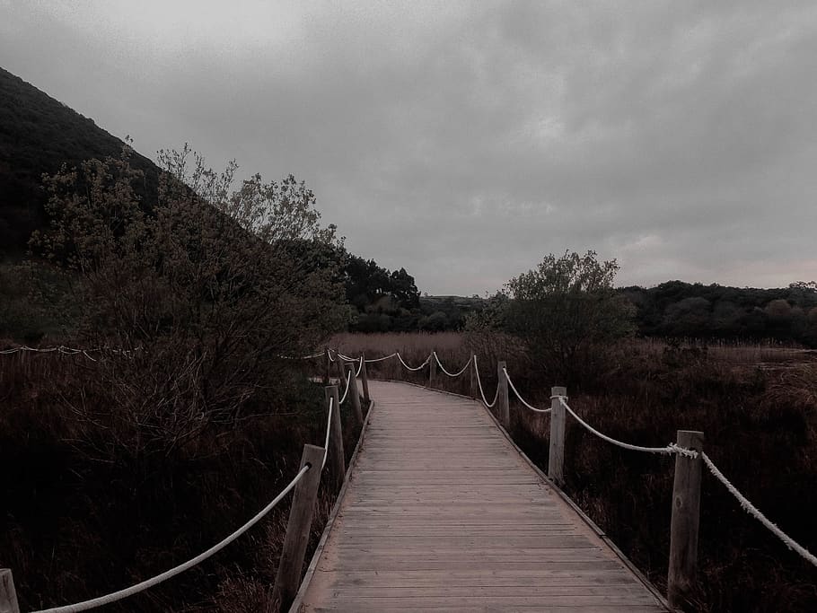 spain, noja, direction, the way forward, plant, sky, tree, cloud - sky HD wallpaper