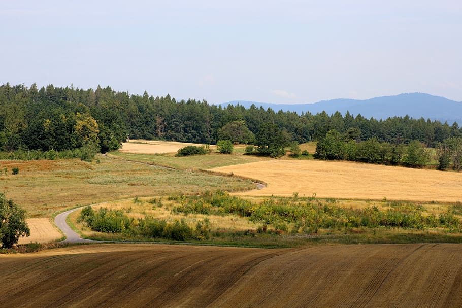landscape, fields, summer, panorama, view, agriculture, road HD wallpaper