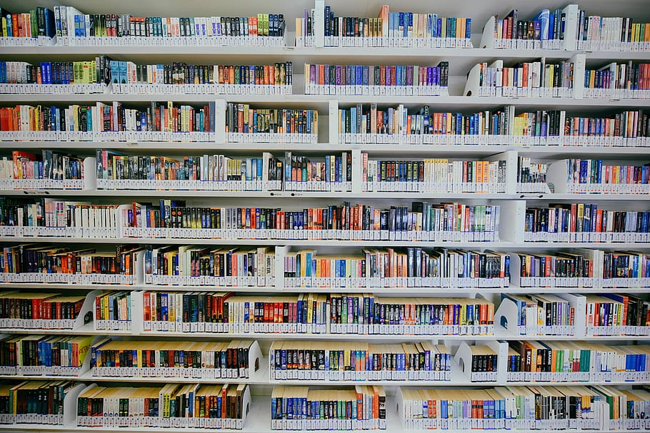 book lot, publication, bookshelf, library, in a row, education HD wallpaper
